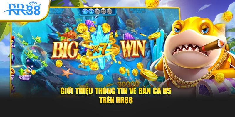 Giới thiệu thông tin về bắn cá h5 trên RR88